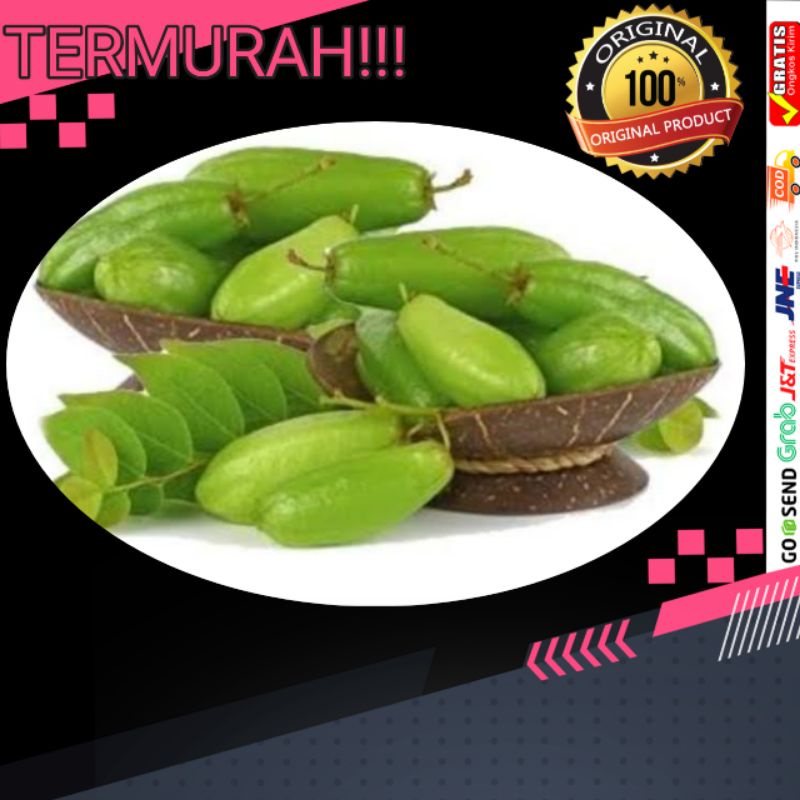 

Jual buah belimbing wuluh fresh herbal