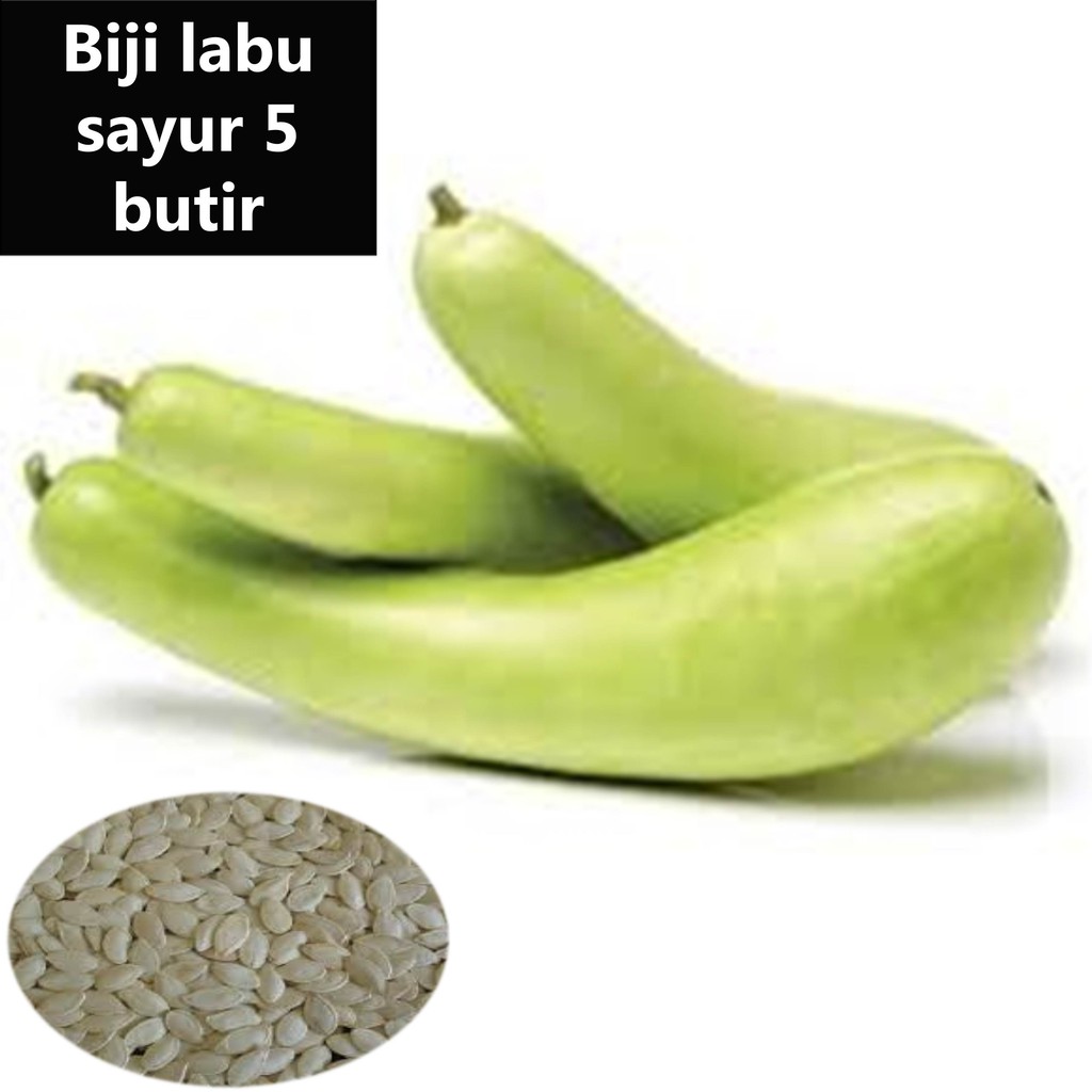 Benih Labu Air Panjang benih sayuran