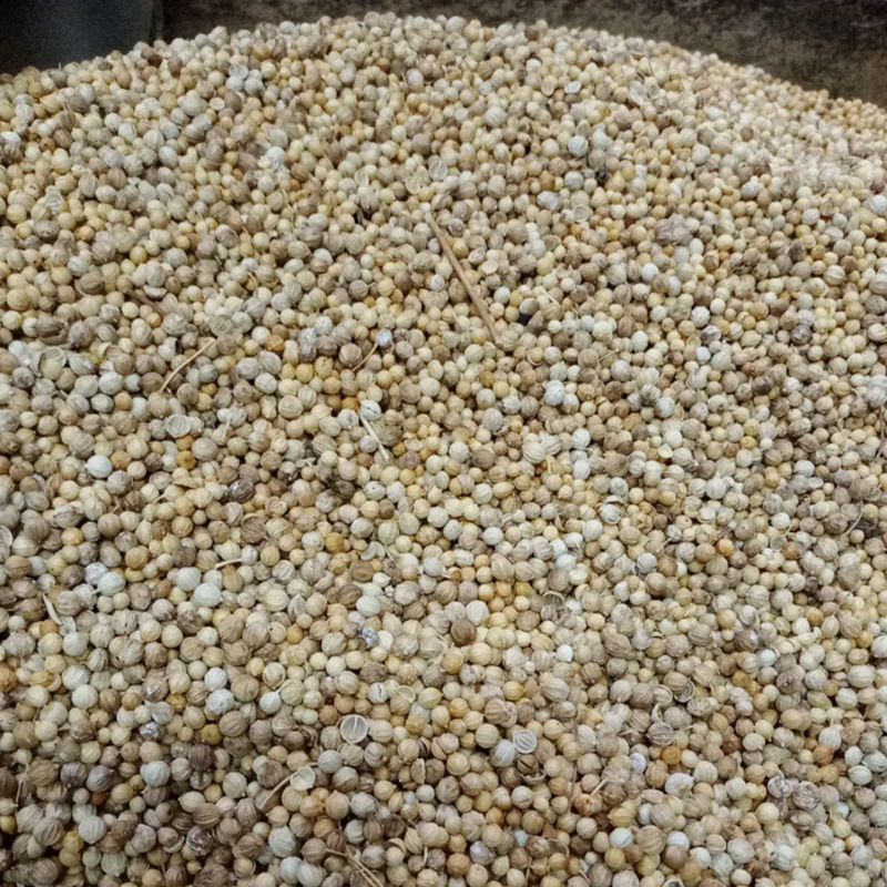 

Ketumbar 250 gram