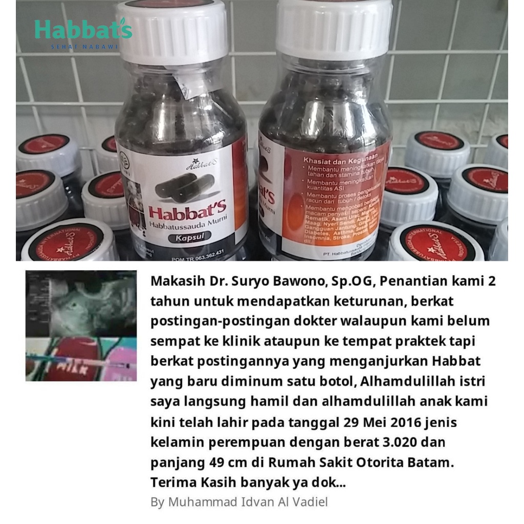 HABBATS Habatusauda Original Asli Promil Ampuh Cepat Hamil