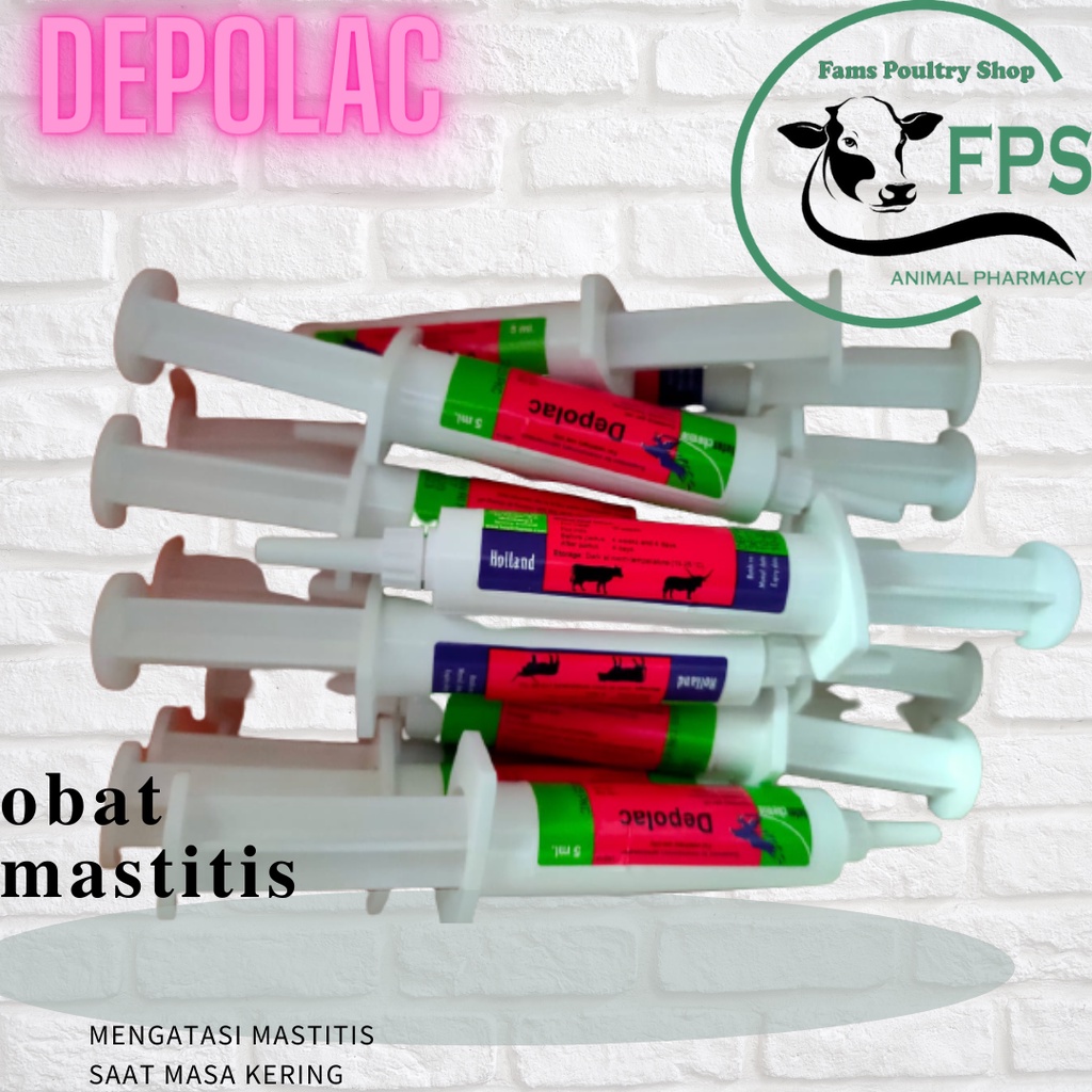 DEPOLAC ( MASTITIS SAAT MASA KERING)