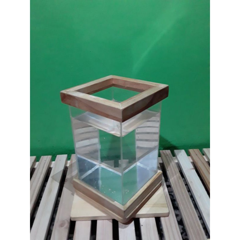 aquarium cupang soliter cupang Lis kayu hiasan kayu