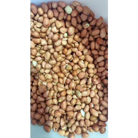 

Kacang Tanah India, Kacang Tanah Super, Kacang tanah premium