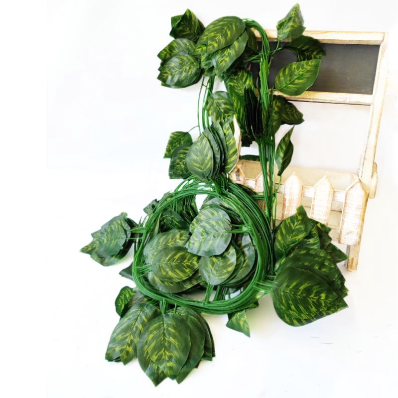 (12PCS) Daun Rambat Besar 30 helai AL95 Findlove Peperomia Semangka Ivy Calathea Begonia Vine Plastik