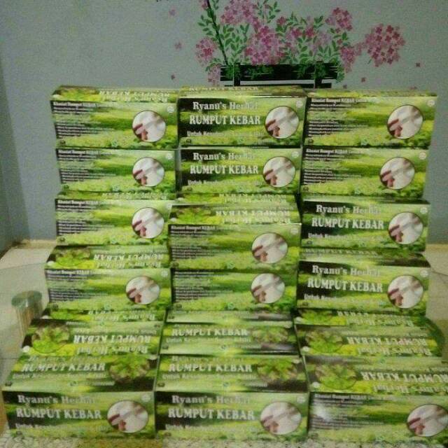 

Herbal Rumput Kebar (bentuk Teh celup) 10 celup ready
