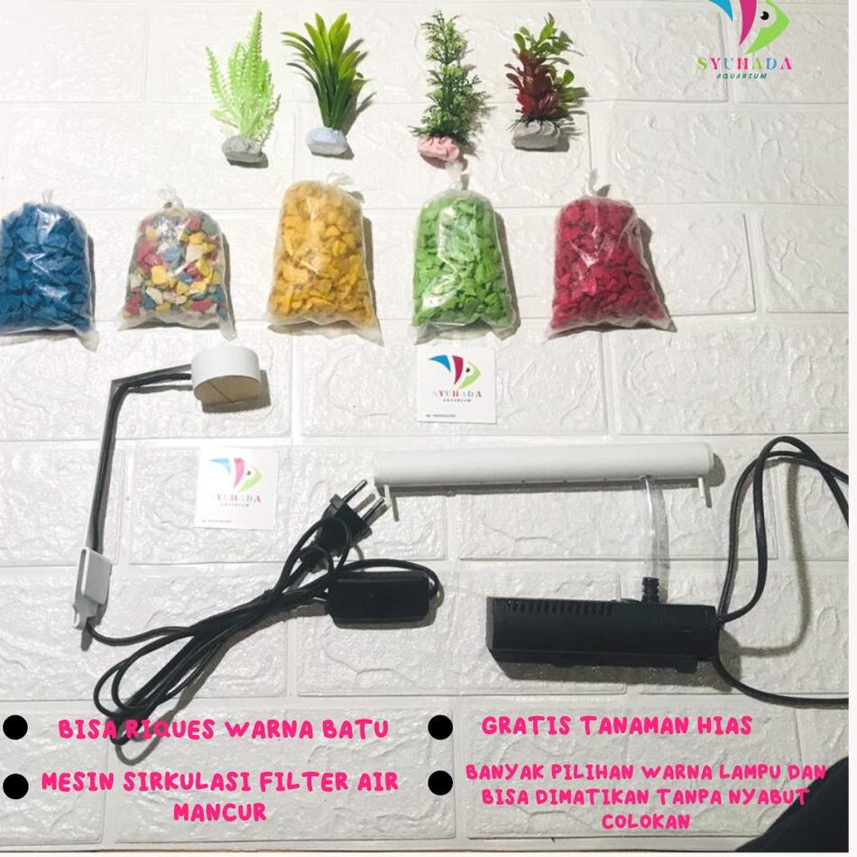 SALEE.. [COD] TERMURAH  Aquarium mini cupang / aquarium akrilik/ akuarium mini akrilik ikan cupang p