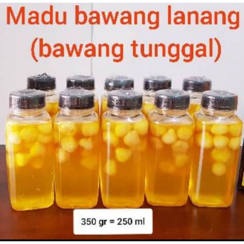 

MADU BAWANG putih TUNGGAL