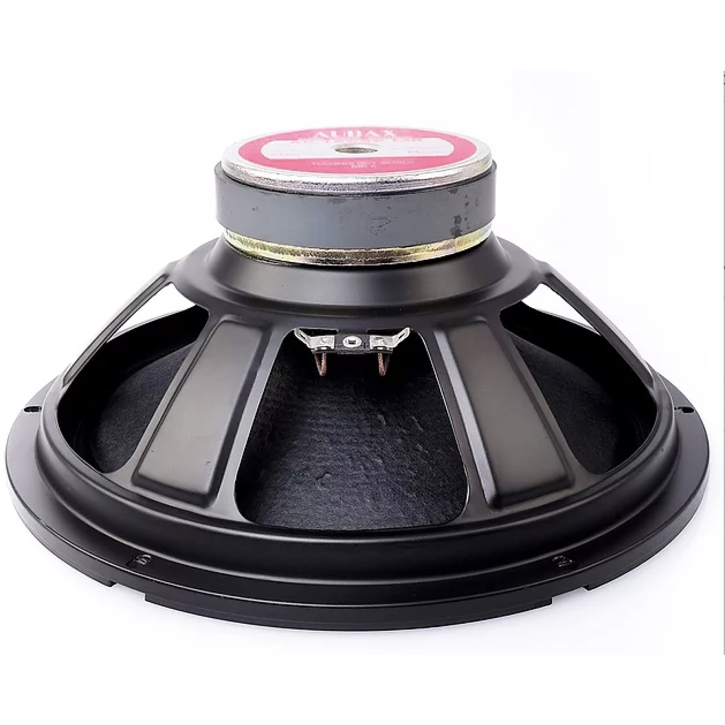 speaker 12 inch audax 12252 m8 full range