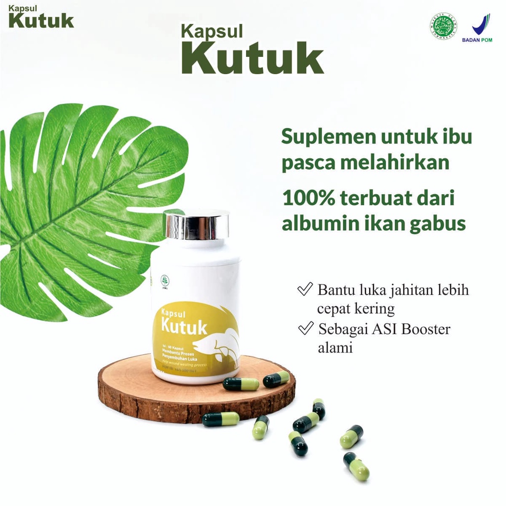 Promo KAPSUL KUTUK Ekstrak Albumin Ikan Gabus Original / Pengering Luka Diabetes &amp; Operasi Bekas Luka Cepat Kering / Pelancar Asi Booster