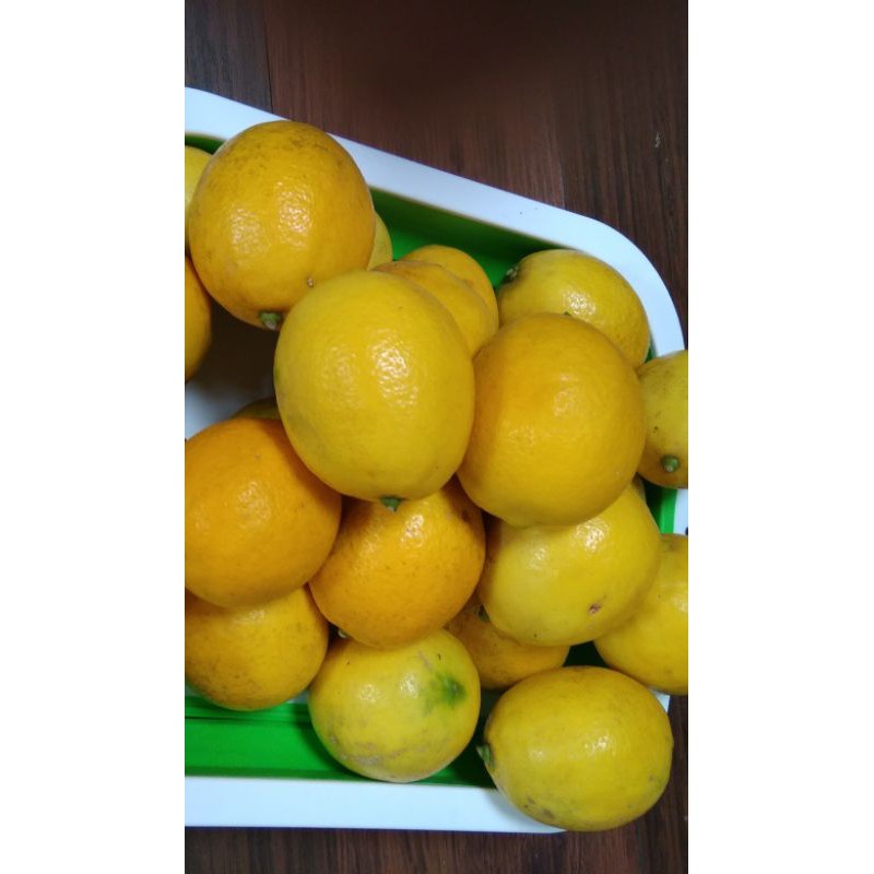 

Jeruk lemon California