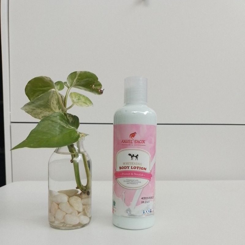Jual Body Lotion VIRAL!!! Angel Tacik BPOM Original Shopee Indonesia