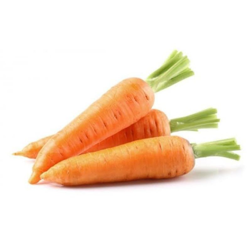 

WORTEL SEGAR 100 gr - 110 gr