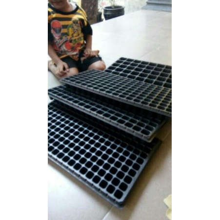 Pot Tray  200 lubang/Tray Semai Tipe 200