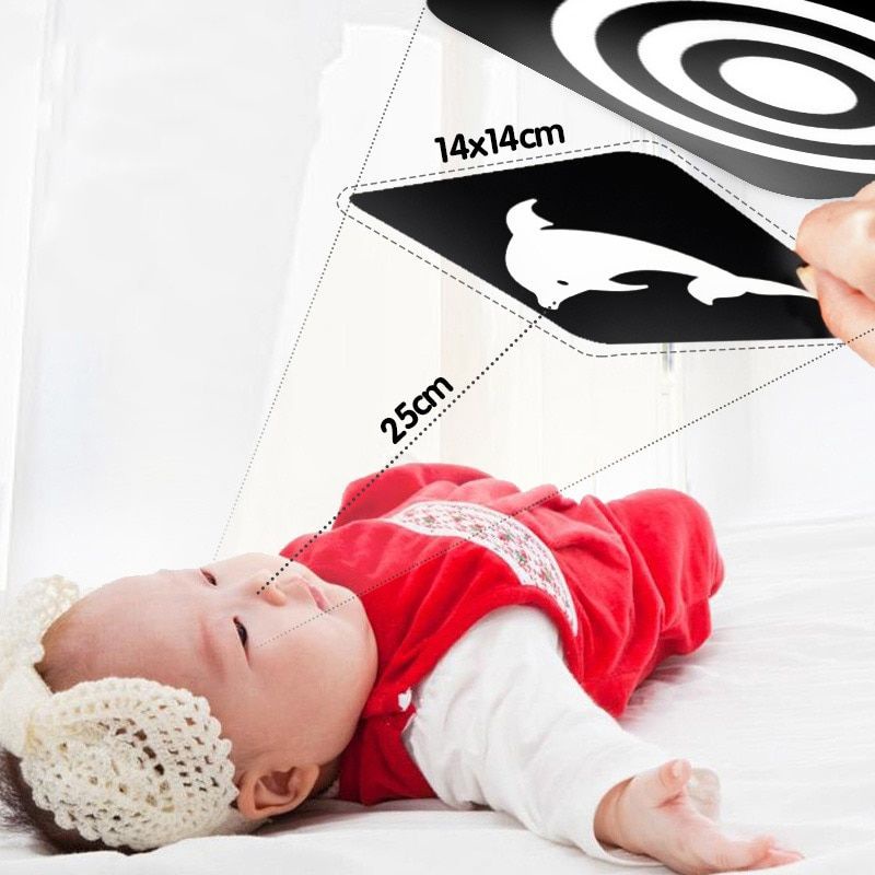 Mainan Edukasi Flashcard Baby Kartu Pintar Hitam Putih Flash Card Black White High Contrast Vision Dekorasi Kamar Bayi Buku Bayi Baby Gift Newborn Montessori Kado Bayi Tummy Time