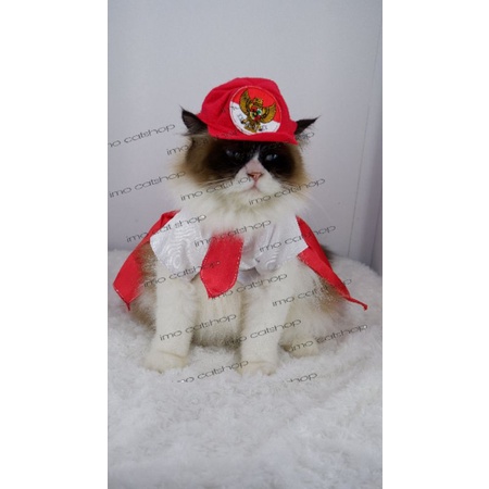 Kostum kucing sekolah baju kucing
