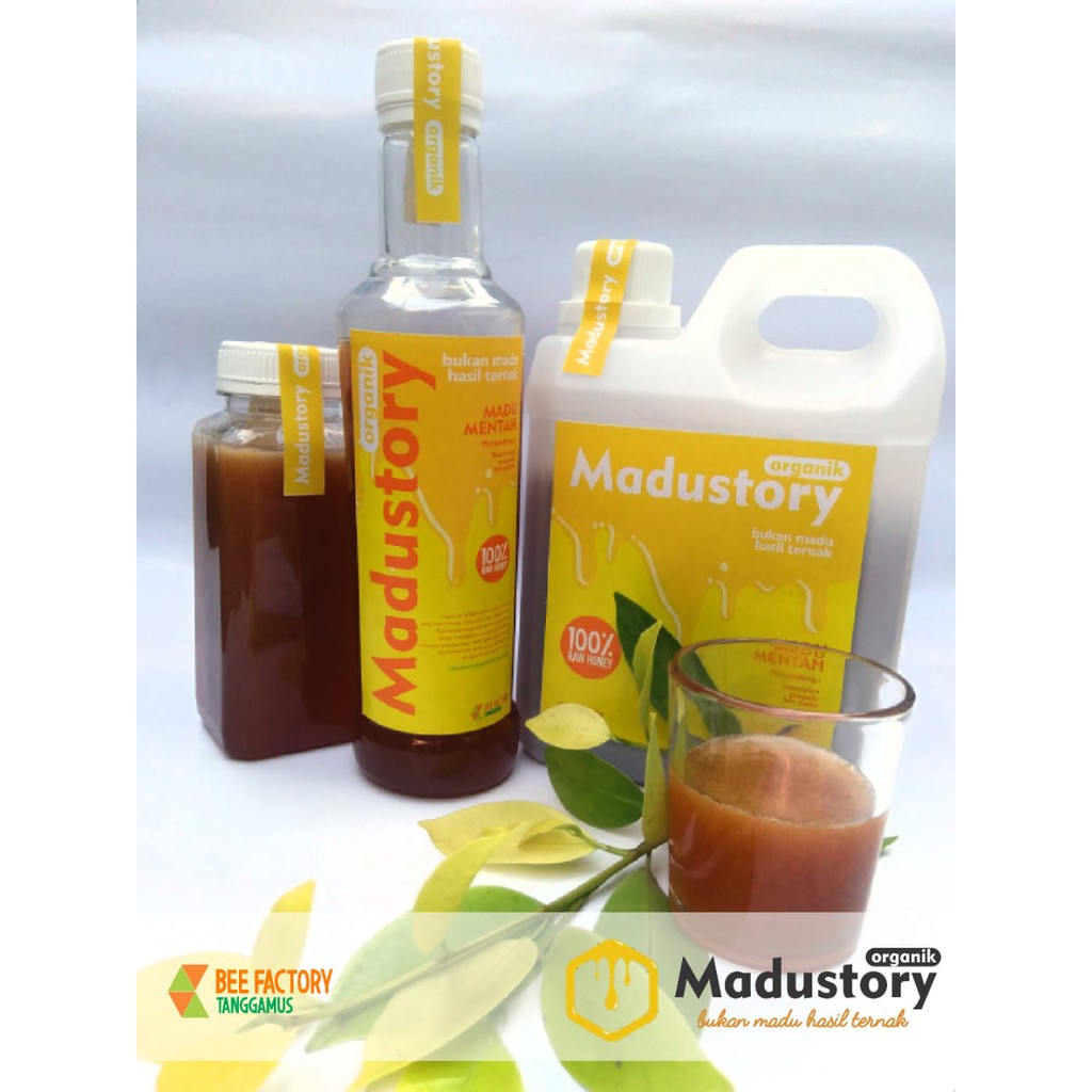 

Madustory madu hutan sumatera