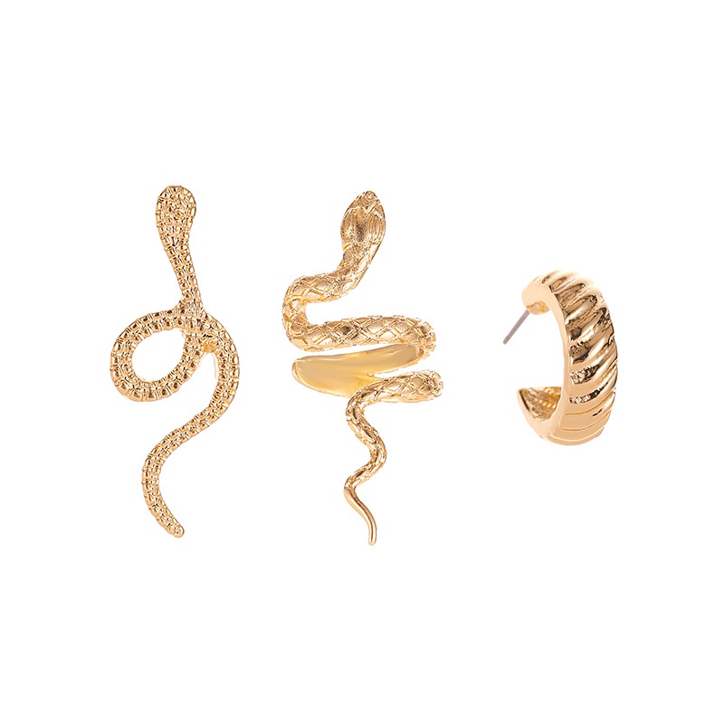 Retro snake set earrings cold wind fashion three-piece earrings net red ins wind snake ear clip