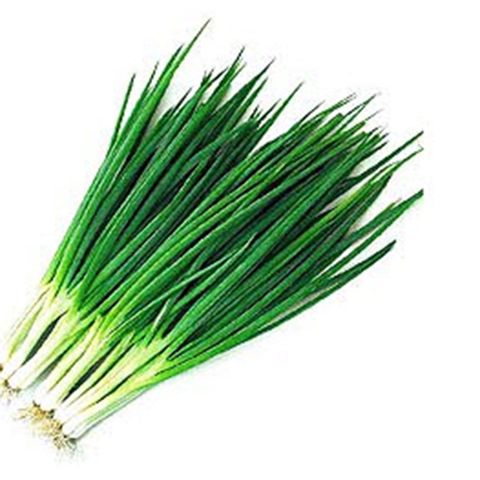 Benih Daun Bawang Unggul (F1)