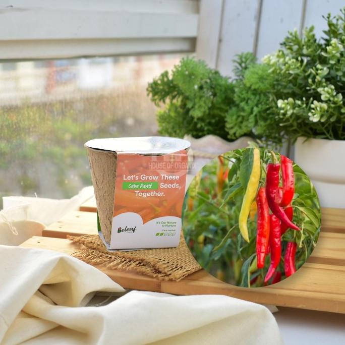 

Beleaf Pots With Benih Cabe Rawit