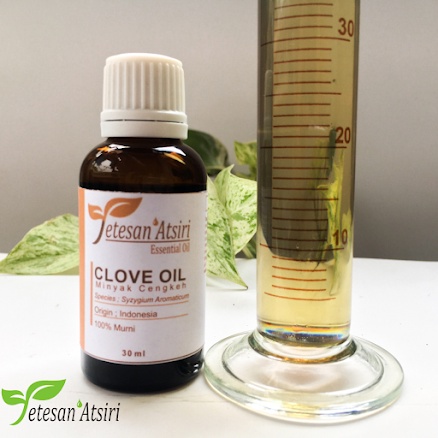 30ml pure essential oil clove - cengkeh clove essential esensial essensial oil aromatherapy aromaterapi diffuser pewangi pengharum ruangan humidifier oil burner minyak cengkeh asli murni obat sakit gigi minyak cengkeh murni penyulingan tanpa campuran