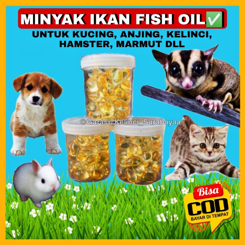 GPSS- Minyak Ikan Fish Oil Untuk Kucing Anjing Kelinci Hamster Marmut High Quality Minyak Ikan Kucing Minyak Ikan Anjing Minyak Ikan Kelinci Vitamin Kucing Vitamin Anjing Vitamin Kelinci Vitamin Hamster Minyak Ikan Hamster Snack Kucing Snack Anjing