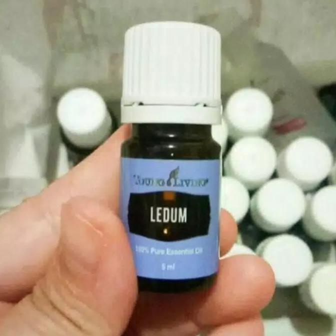 Ledum Essential Oil 5Ml Antogondrong12