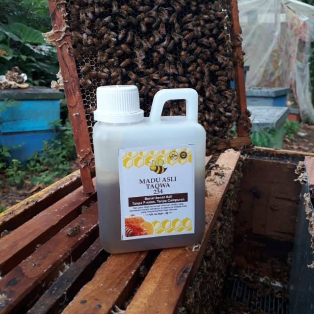 

MADU MULTIFLORA madu mentah fress madu ori tanpa proses kimia tanpa campuran