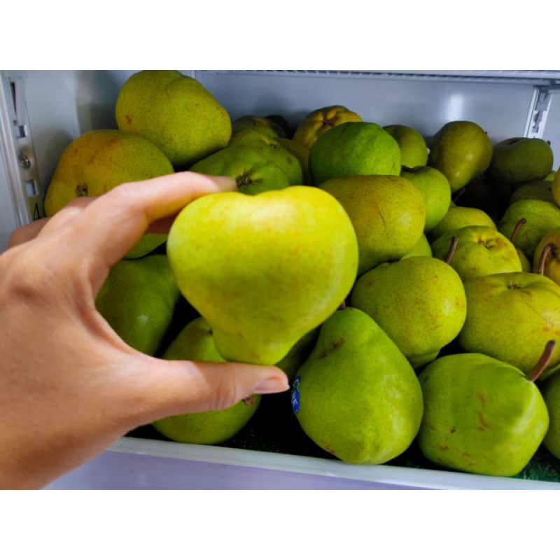 

AKENA BUAH Pear Packam AFK termurah (Berat 900g-1kg,isi -+4/5 pcs)