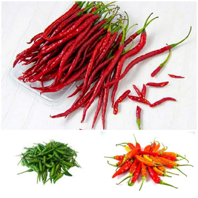 

[sayur Segar] Cabai Rawit Merah / Rawit Hijau /keriting Merah