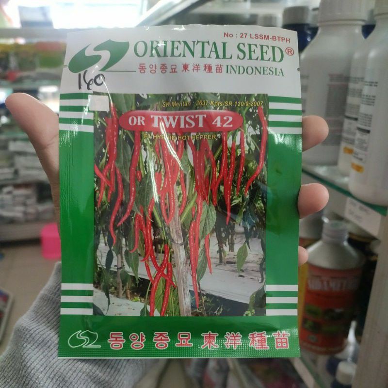 benih cabe twist 42
