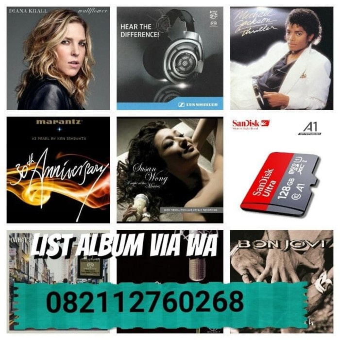 {suhadistore} Album Lagu format DSD 64  DSD 128 DSF DFF HI-RES  micro SD 128gb Berkualitas