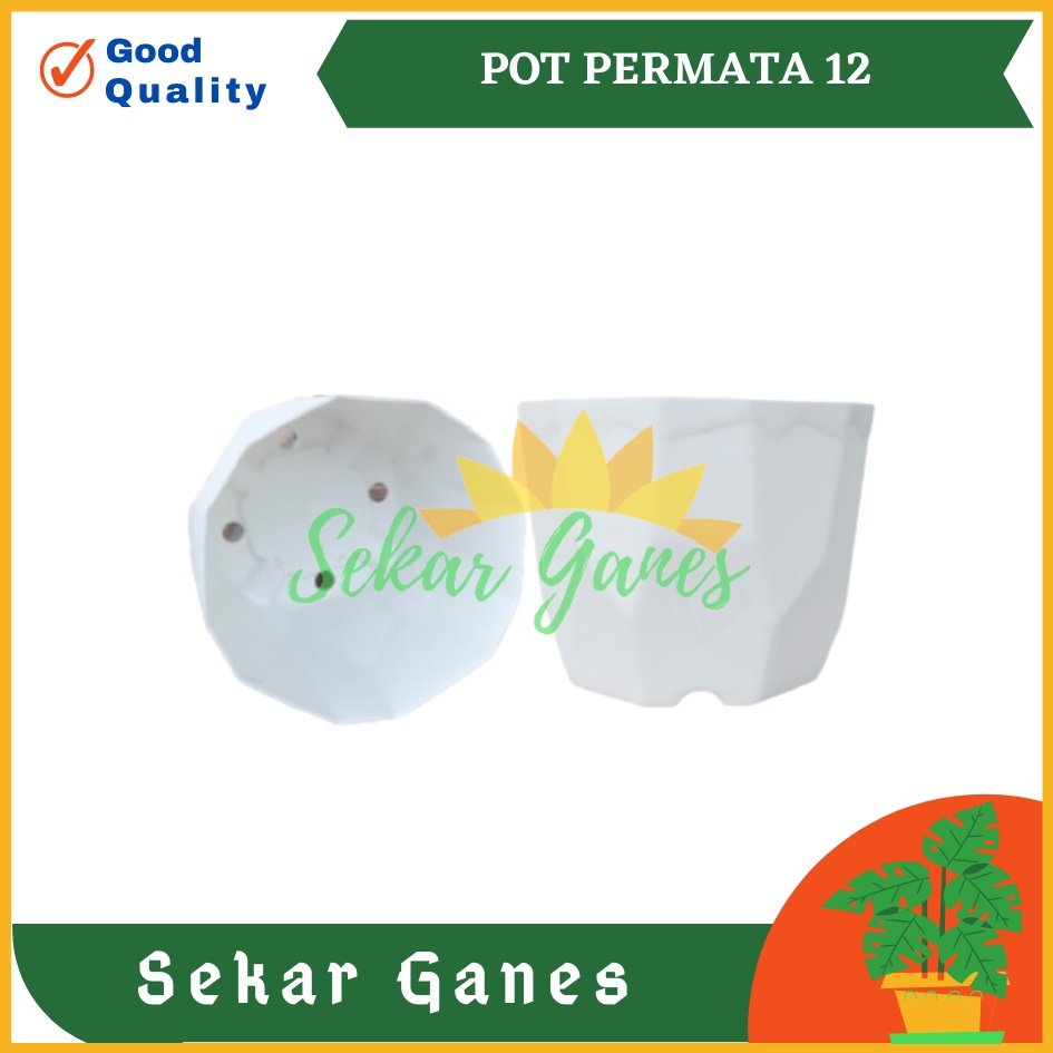 Pot Permata 12 Putih Da 10.5cm Garden Of Love Pot Kaktus Sukulen Mini Murah Bkn Pot Tawon 10 12