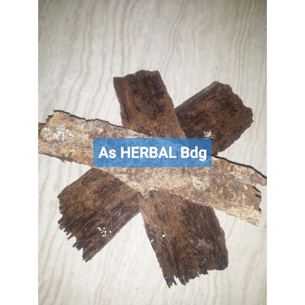 

Kulit kayu lemo kulit kayu rempah kilemo krangean-az