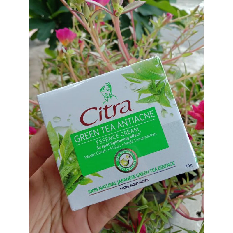 cream citra (pelembab wajah)