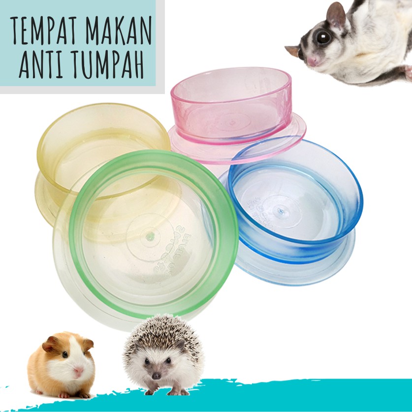 ADEWAP GLIDER Tempat Makan Bulat Warna Bening Sugar Glider