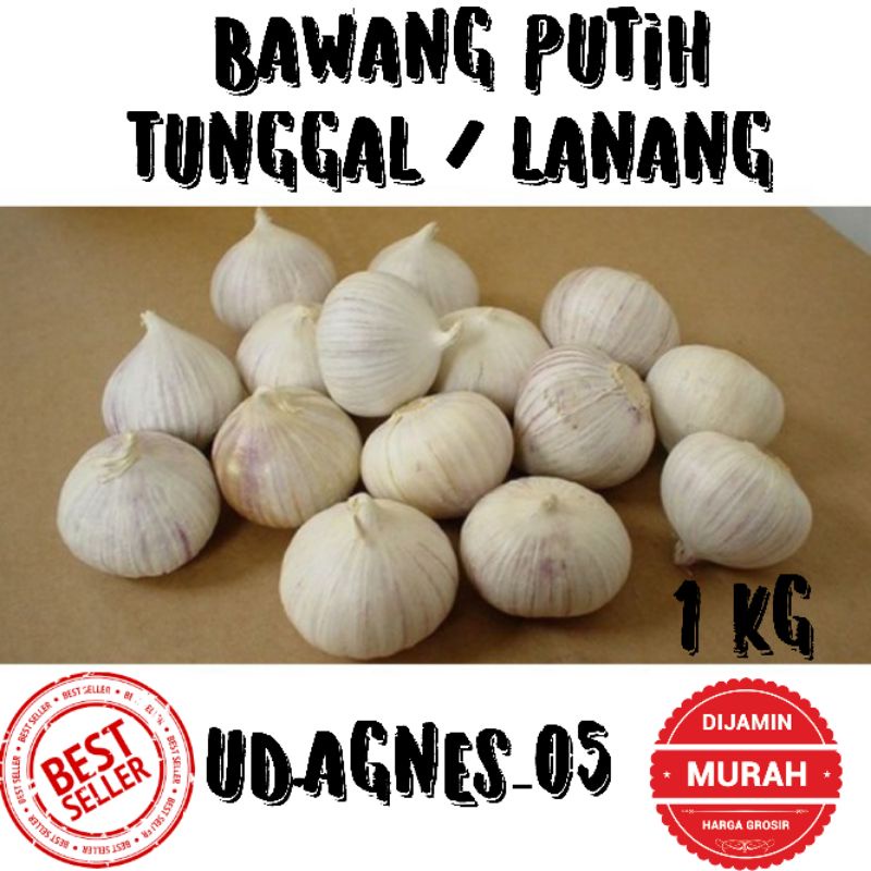 

BAWANG PUTING TUNGGAL /BAWANG LANANG SUPER 1 KG