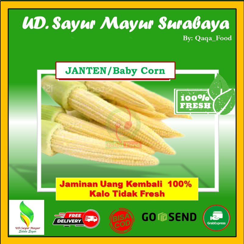 

Sayur Baby Corn janten jagung muda segar sayur sayuran segar fresh Murah 250 Gram - UD027