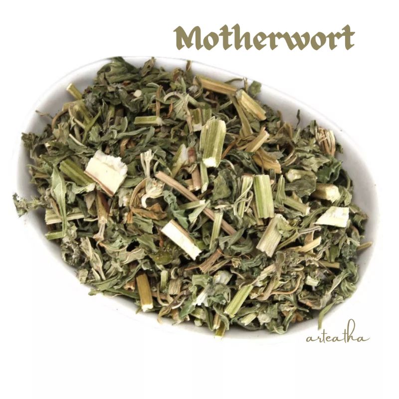 

Motherwort tea/ Yi mu cao/ leenurus heterosphyllus / chinese oriental leenuru herbs