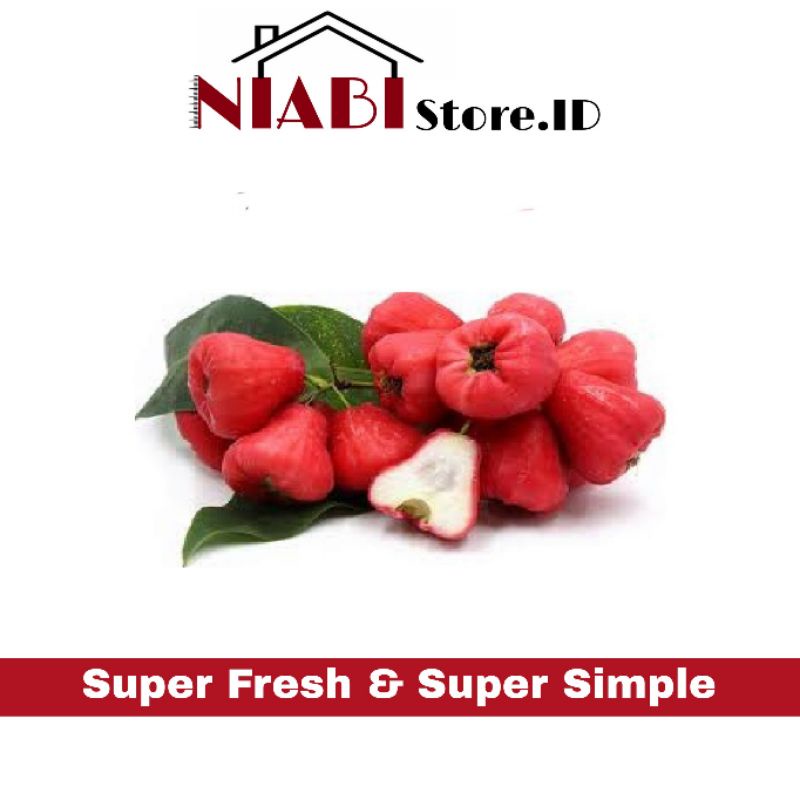 

JAMBU AIR / JAMBU RUJAK SEGAR 500 GRAM