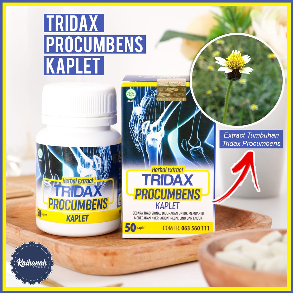 Tridax Procumbens Kaplet Untuk Asam Urat Pegal Linu Dan Encok Shopee Indonesia