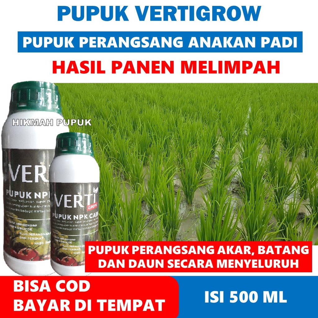 (BISA COD) OBAT PELEBAT ANAKAN PADI PUPUK VERTIGROW UNTUK PADI  - Pupuk Cair Pelebat Anakan Padi Has