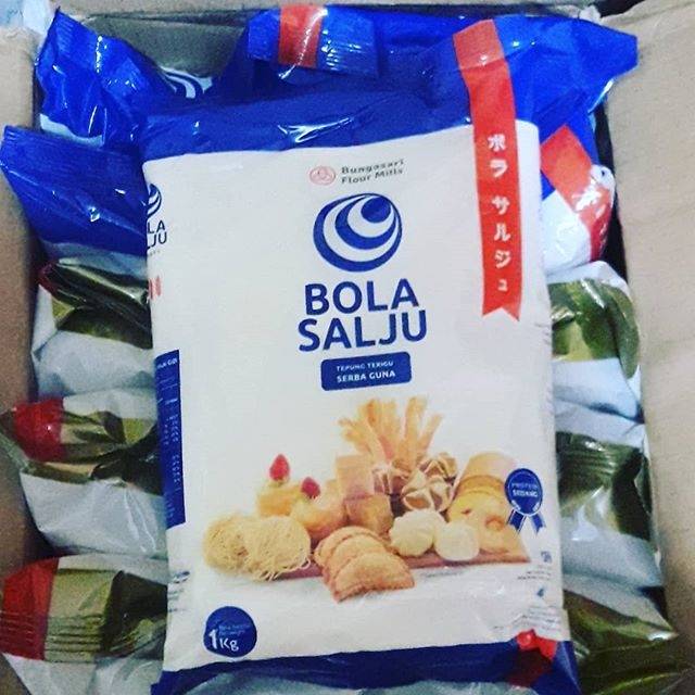 

Terigu bola salju