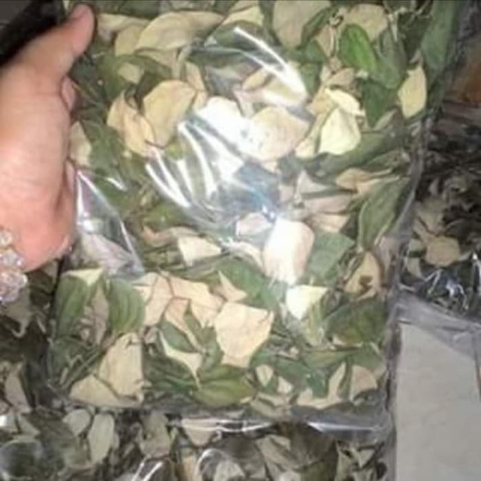 

Daun Bidara Kering Herbal Asli Alami Kwalitas Terjamin 1/4 Kg (250 g)