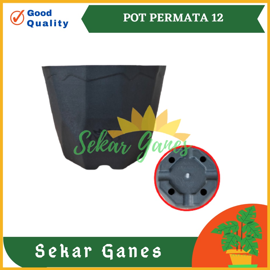 Pot Permata 12 Hitam DA 10,5cm By Garden Of Love Pot Plastik Kaktus Murah Uk Mirip Pot Tawon 10cm