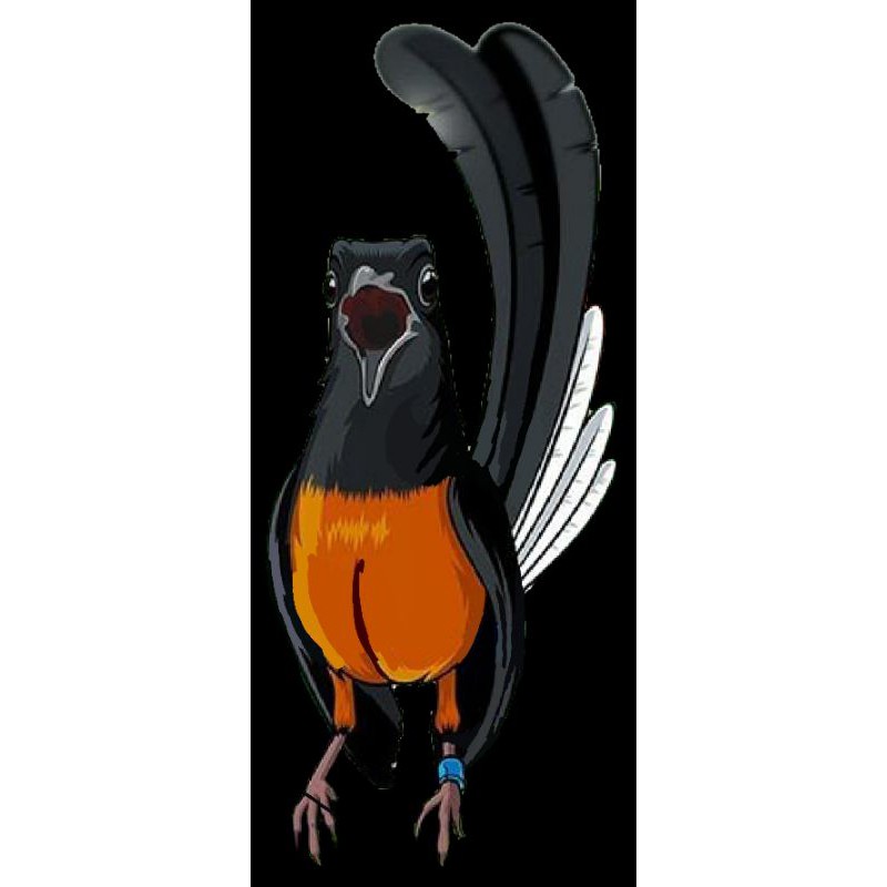 420 Gambar Burung Cendet Kartun HD Terbaru