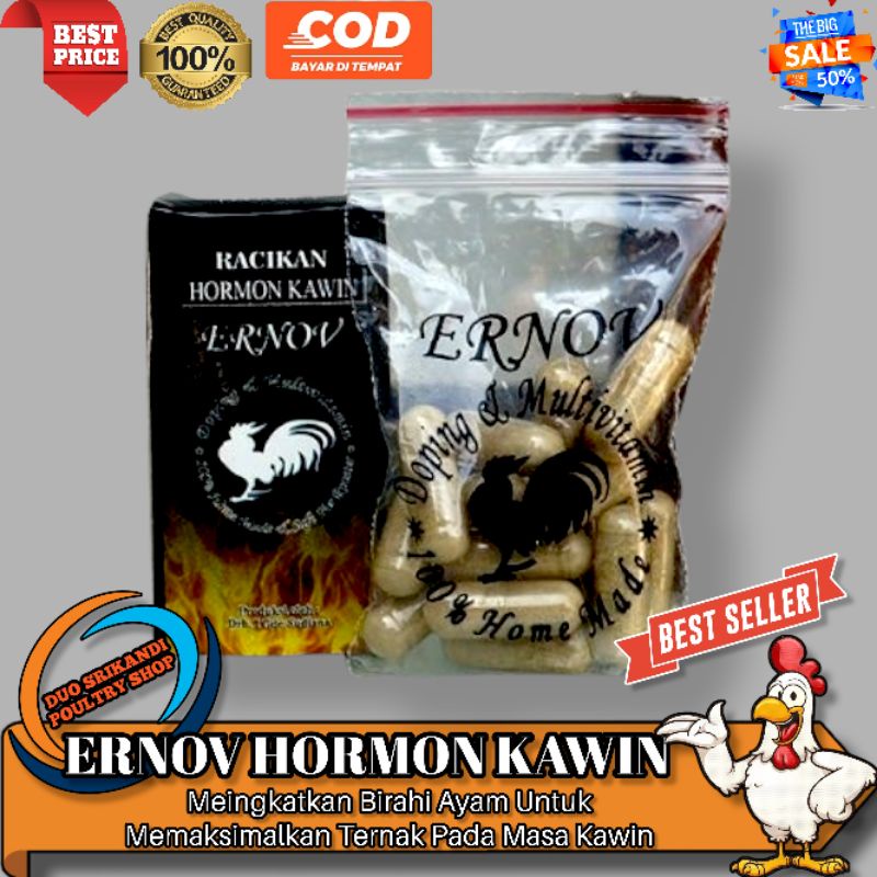 Obat Ayam ERNOV Hormon Kawin Ayam Bangkok Aduan