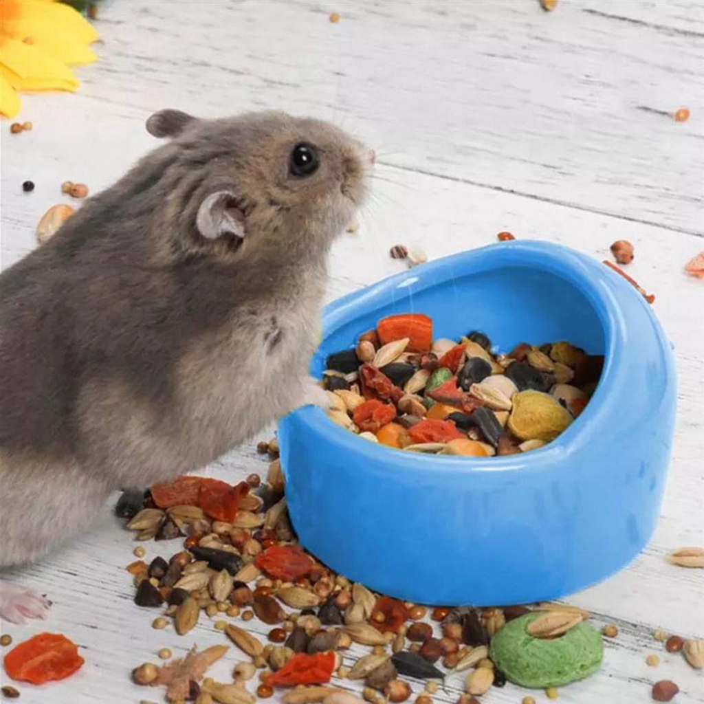 REBUY Rebuy Hamster Bowl Gerbil Chinchilla Anti Embun Makanan Keramik Mengunyah Peminum Air Hewan Peliharaan Kecil