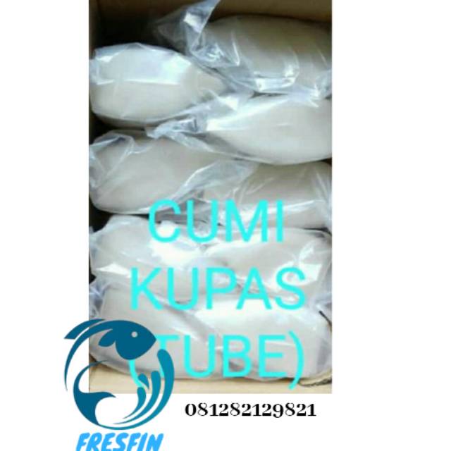 

Cumi segar / cumi tube 1 kg