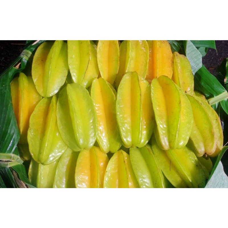 

BUAH BELIMBING FRESH