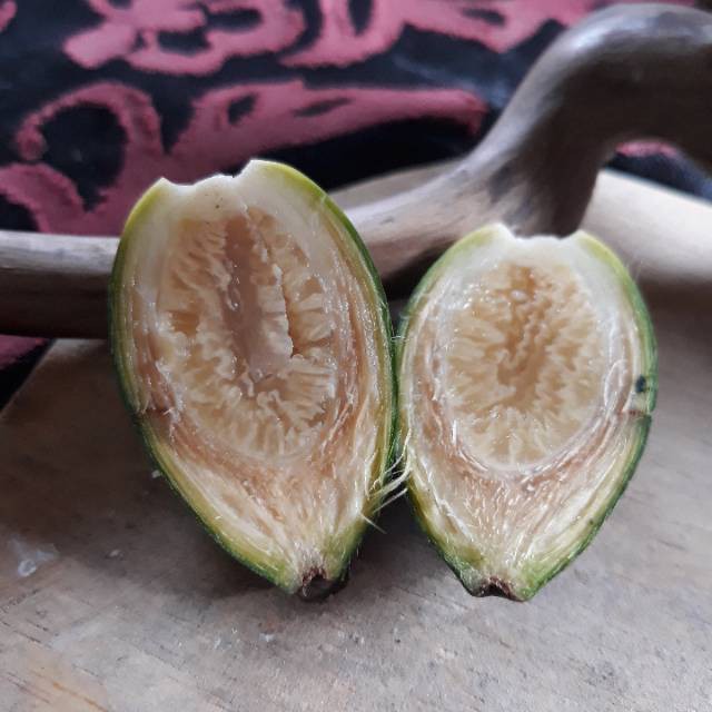 Buah Pinang Muda 1 Kg - [ GUMECROT ]